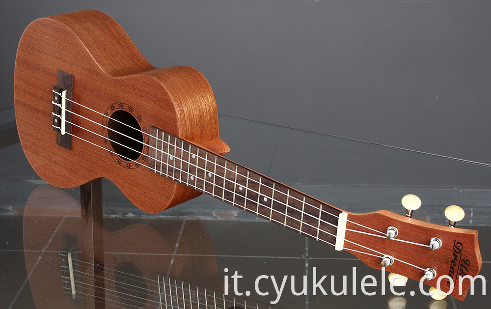 ukulele20